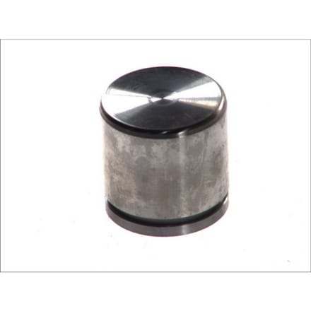 Zuiger, remklauw AUTOFREN SEINSA D02564, voor