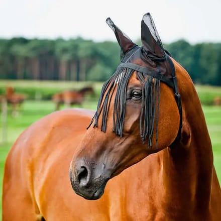 Vliegendek voor paarden met oorbescherming Horze