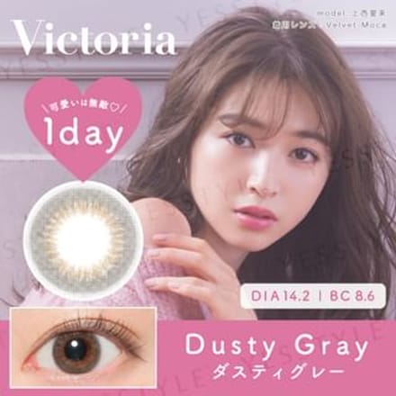 Candy Magic - Victoria 1 Day Color Lens Dusty Gray 10 pcs P-5.00 (10 pcs)