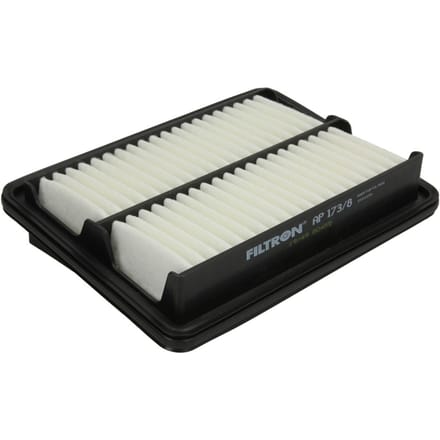 Luchtfilter FILTRON AP 173/8