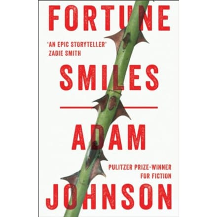Fortune Smiles - Adam Johnson
