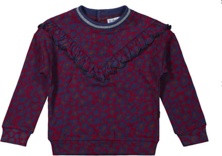Dirkje - Girls Sweater ls Burgundy + aop - maat 110