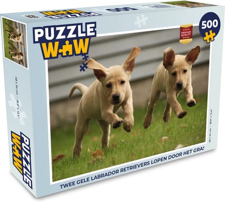 Puzzel Twee gele Labrador Retrievers lopen door het gras - Legpuzzel - Puzzel 500 stukjes