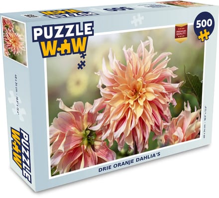 Puzzel Drie oranje dahlia's - Legpuzzel - Puzzel 500 stukjes
