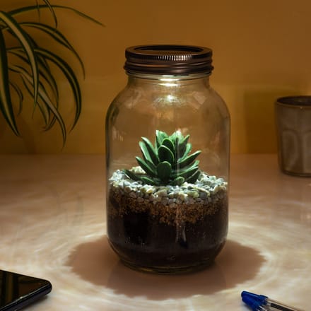 Lichtgevend Terrarium van Gift Republic