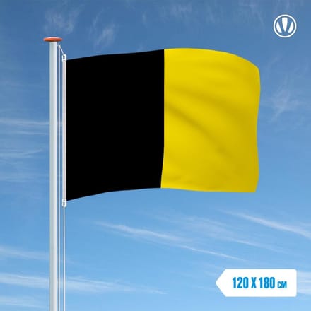 Vlag Sneek 120x180cm
