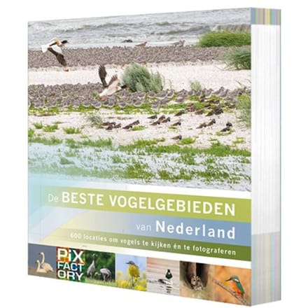 De Beste Vogelgebieden Van Nederland - De Mooiste Fotolocaties