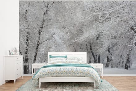 Behang - Fotobehang Bomen - Sneeuw - Winter - Breedte 375 cm x hoogte 280 cm