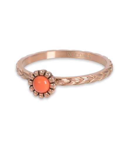 iXXXi invulring Inspired Coral R05903 Goud, Zilver, Rosé (2MM)