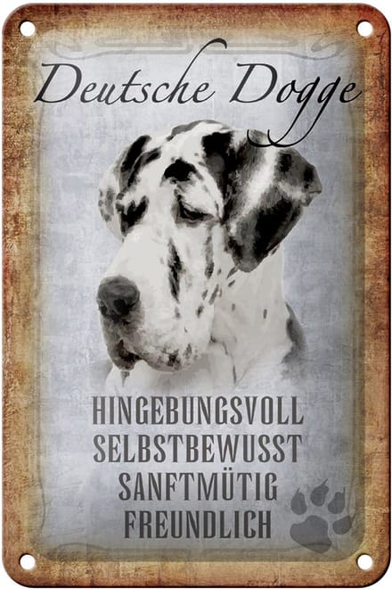 Blechschild Spruch 12x18cm Deutsche Dogge Hund Schild