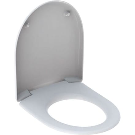 Geberit Renova wc-zitting bevestiging van boven: softclose=ja, QuickRelease-functie=nee, bevestiging=van boven, pergamon / glanzend, 573025068