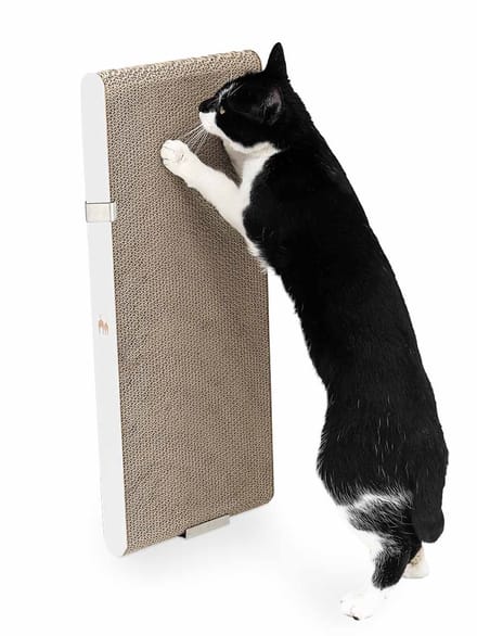 Petrebels Krabkarton voor Katten - Milo 63 - Wit - Stevig Karton - Design Krabplank Verticaal - 62,5 x 4,7 x 27,7 cm