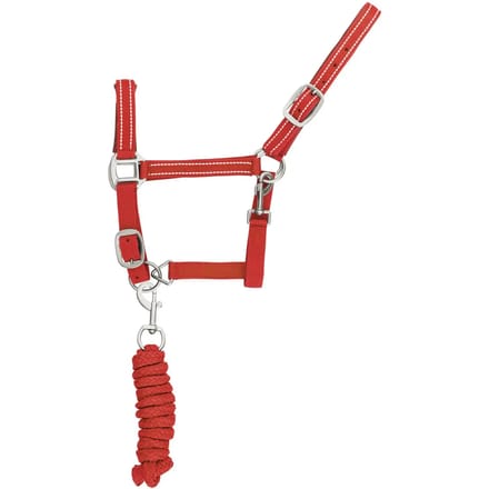 Reflecterende nylon halster en longe voor paarden Supreme