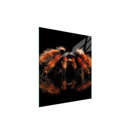 TMK ArtDeko - Snijplank - 45x52 cm - Veilig - Multifunctioneel