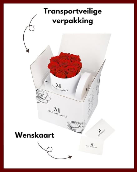 Lange Houdbare Rozen in Luxe Geschenkdoos | Geconserveerde Echte Rozen | Cadeau voor Haar