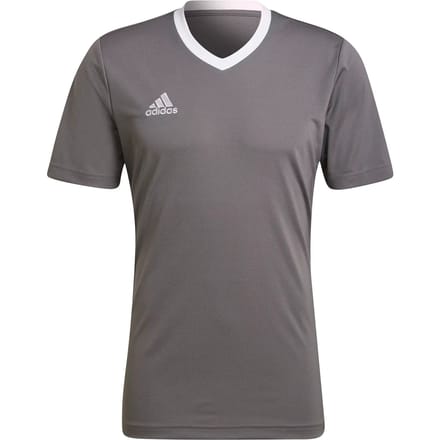adidas Performance Entrada 22 Voetbalshirt - Heren - Grijs- L