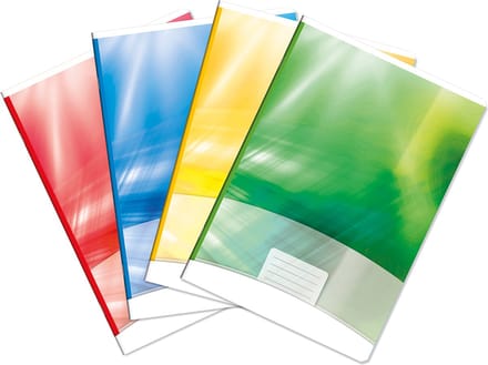 Schrift Avino lijn A4 per 10 stuks assortiment