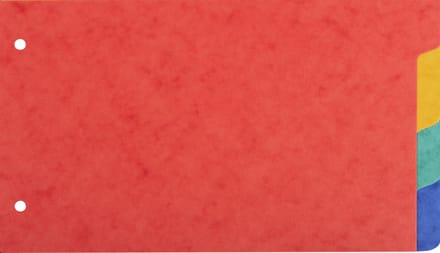 Exacompta 10x Tabbladen in gerecycleerd karton 225g - 4 tabs - 125x200mm - Geassorteerd - 704E