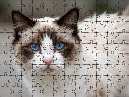 Puzzel Ragdoll | 120 stukjes | Dierenpuzzel | Kattenpuzzel