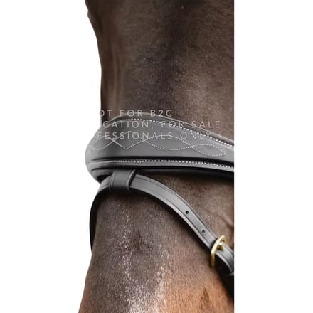 Anatomische gecombineerde bit voor paard met kettingen Dy'on