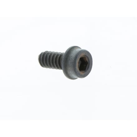 Screw