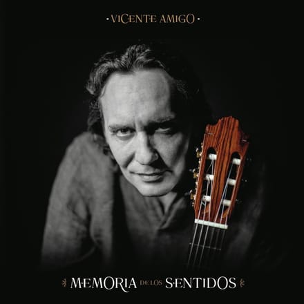 Memoria De Los Sentidos