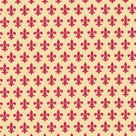 Lily Zelfklevende Folie Mini rol rood 45cmx2mtr