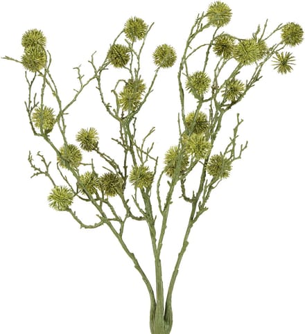 Decoratieve tak amberboomvruchten lichtgroen 48cm
