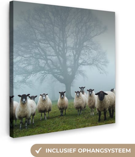 Canvas Schilderij Schapen - Boom - Mist - 50x50 cm - Wanddecoratie