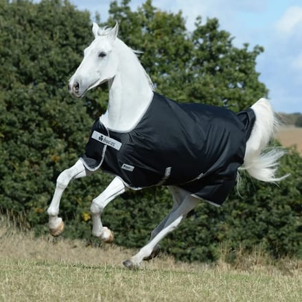 Buiten deken voor paard verjaardag Bucas 200g