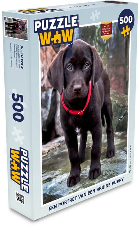 Puzzel Een portret van een bruine puppy - Legpuzzel - Puzzel 500 stukjes