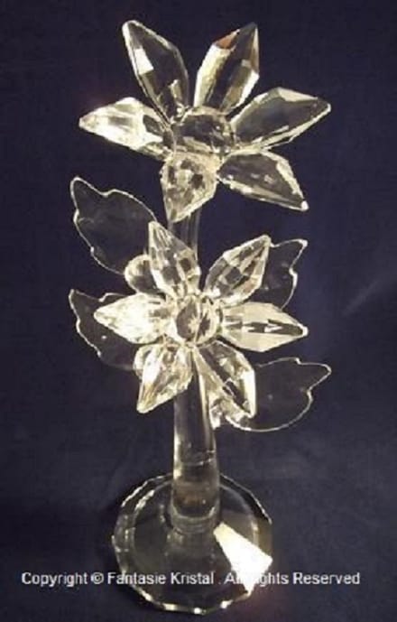 Geslepen bloemen op tak