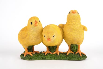 drie kuikens