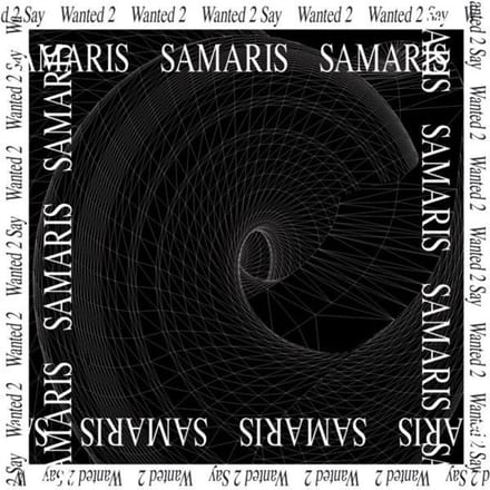 Samaris - Wanted 2 Say (12" Single)