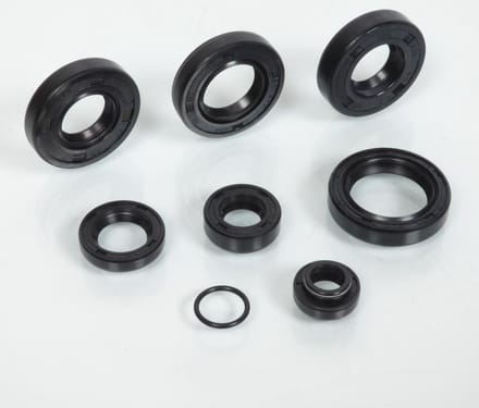 Joint spi moteur RSM pour Moto Minarelli 50 AM6 Neuf