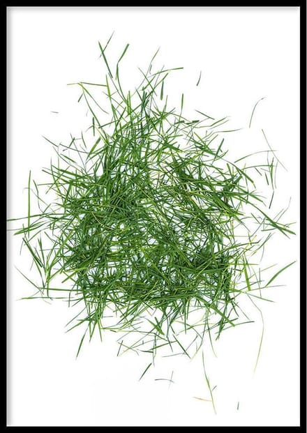 Poster – Grassprietjes - 70x100cm