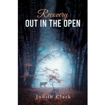 Recovery: Out In The Open - Clark, Judith