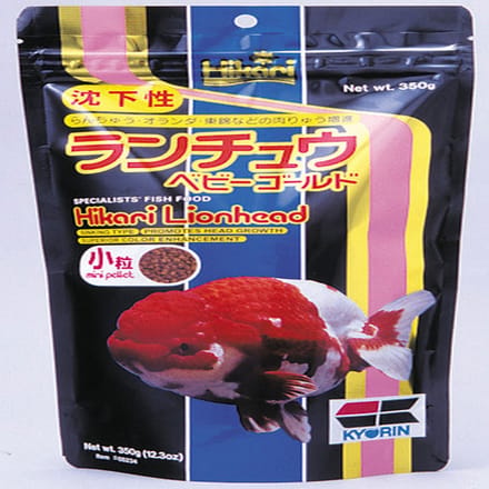 Hikari lionhead leeuwekop mini 100gr