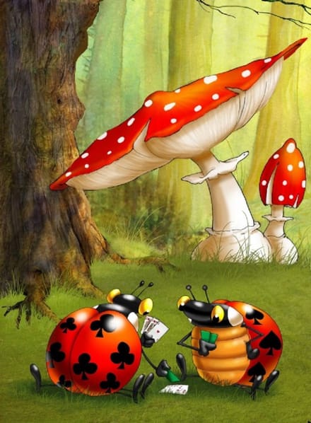 François Ruyer: Poker