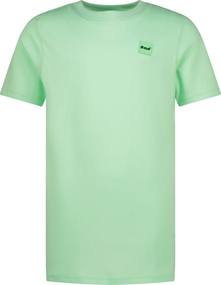 Raizzed jongens T-shirt Hoosic Fresh opal Regular
