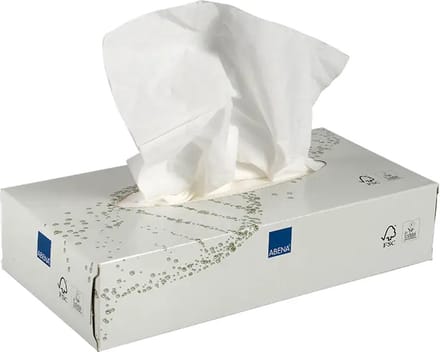 Care-Ness Facial Tissues Excellent - Tissue Box - Tissues Voordeelverpakking - 10 x 100 Tissues - 2 laags