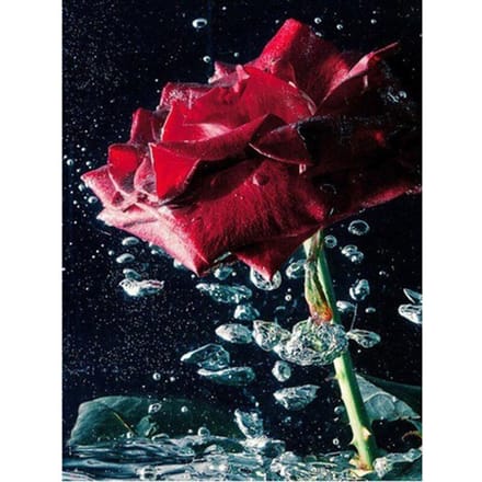 Peinture diamant 5D fleur Rose, broderie diamant au point de croix 20X30CM brown
