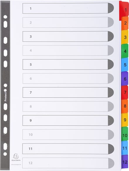 Exacompta 20x Tabbladen karton 160g - versterkte gekleurde tabs + inbdexblad - 12 tabs - A4 - Wit - 1112E