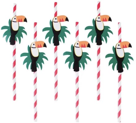 Rietjes Toekan