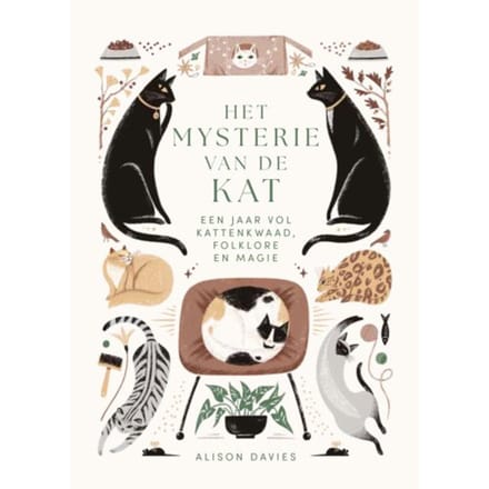 Het Mysterie Van De Kat - Alison Davies