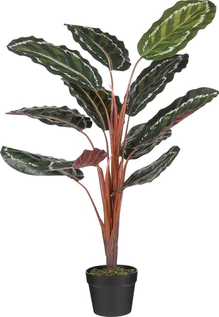 Mica Decorations - Calathea Roseopicta Kunstplant - H90 x Ø60 cm - Groen