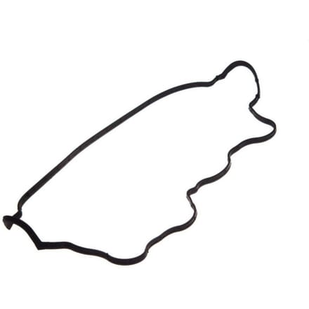 Pakkingset, klepdeksel-PAYEN JM5028