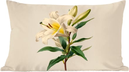 Sierkussens - Kussentjes Woonkamer - 60x40 cm - Lelie - Elegant - Botanisch - Beige