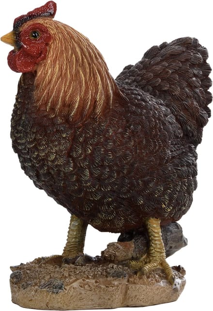 Staande kippen - Wit - Huis en tuindecoratie - Buiten - Vogelcadeaushop