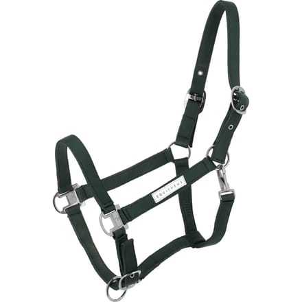 Halster voor paarden Equithème Opal
